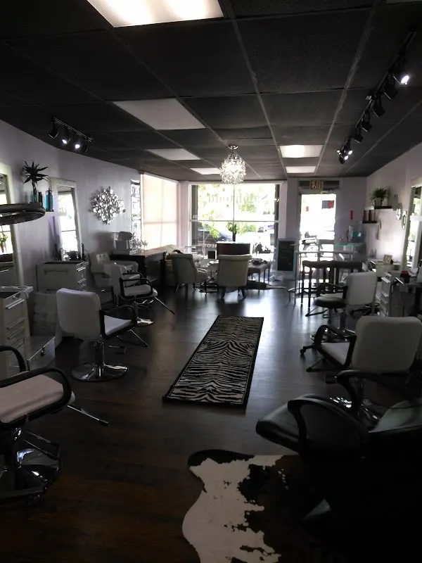 Salontodd Hair Expert — Hair salon in Hollywood